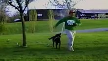 Cute Dog steals hose and sprays owner