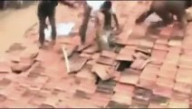 Tiger attacks People in a small village