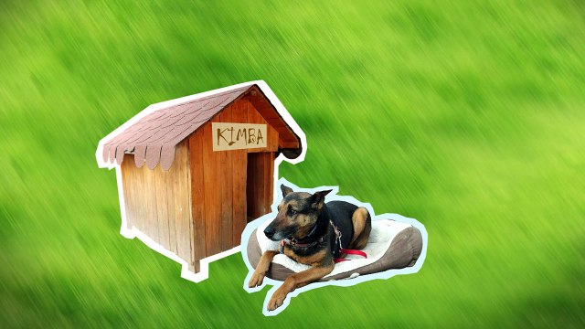 160313-402-013_UTULKOVO_20160328