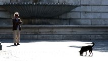 Man and his dog near a fountain in Rome Italy.
