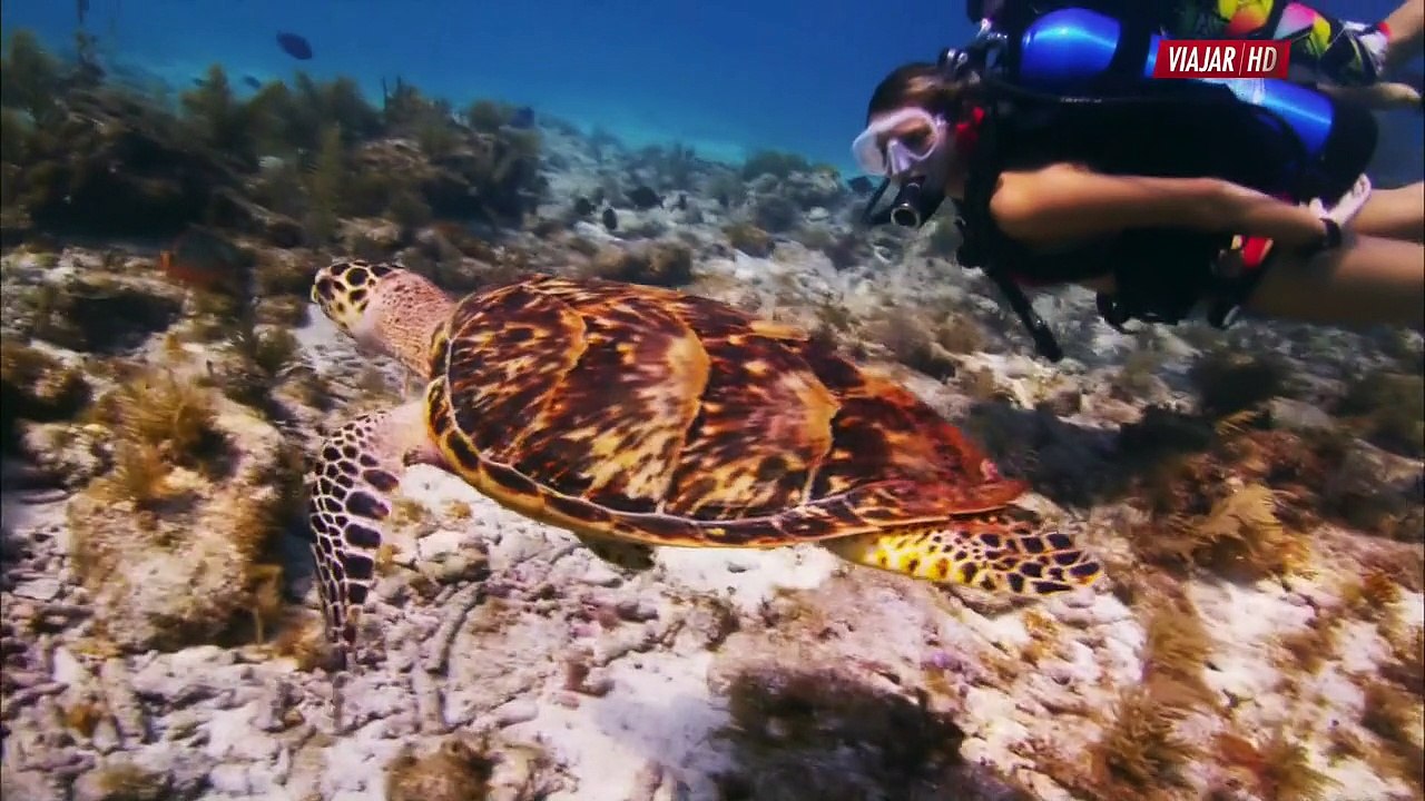 The Coolest Places on Earth - Episode 122