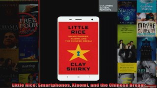 Little Rice Smartphones Xiaomi and the Chinese Dream