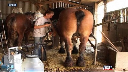 Santé : les produits laitiers bénéfiques pour la santé?