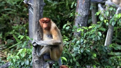 А ты бы выжил? 2 сезон 4 серия / So You Think You'd Survive?