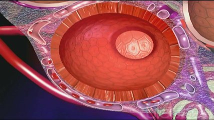 Akciğer İltihabı (Pnömonit) - Hemen Sağlık