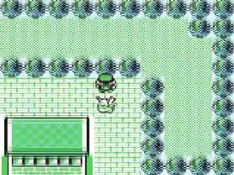Let's Play....Pokemon Yellow Special Pikachu Edition! Part 11