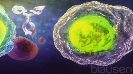 Zehirli Sarmaşık Dermatiti - Hemen Sağlık