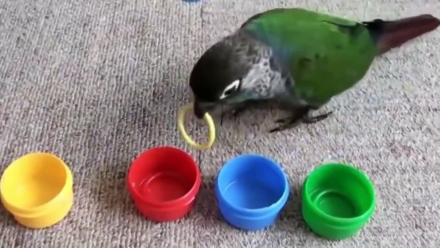 а говорят дальтоники!!!