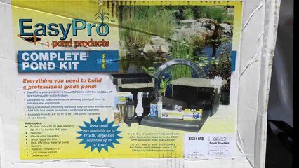 Backyard Studio Pond Project