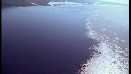 Journey into Amazonia documentary88