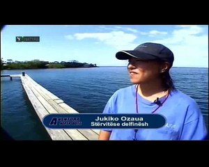 Dokumentari  Aventura Neper Bote