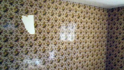 Westerly RI, 02891 wallpaper removal 3/16/16