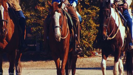 Fast Car (Jonas Blue)