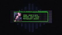 AGAR TU HOTA (BAAGHI) FULL SONG WITH LYRICS - ANKIT TIWARI
