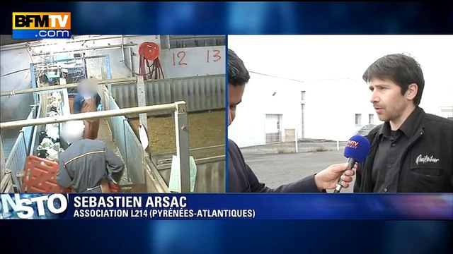 Abattoir de Soule: le porte-parole de L214 estime que ce sont des pratiques généralisées