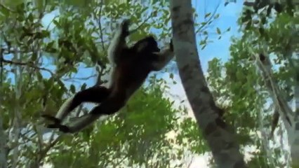 King Cobras documentary films HD1