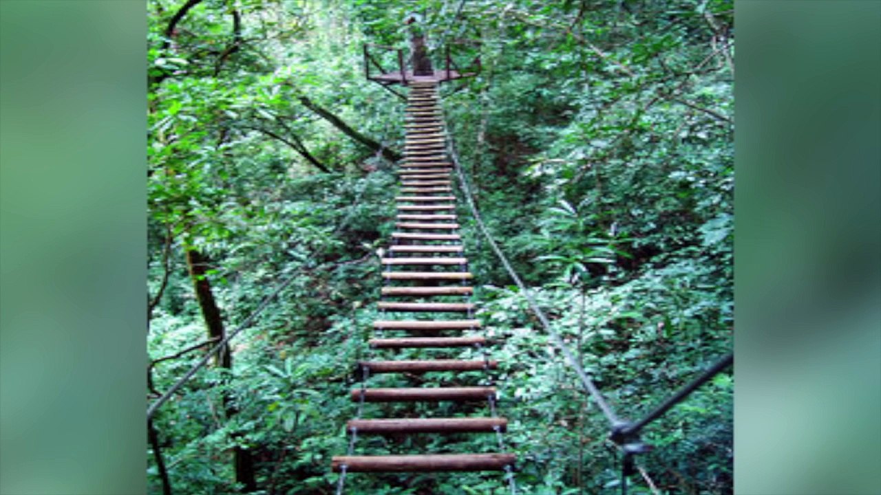 Los 15 Puentes Más Peligrosos Del Mundo