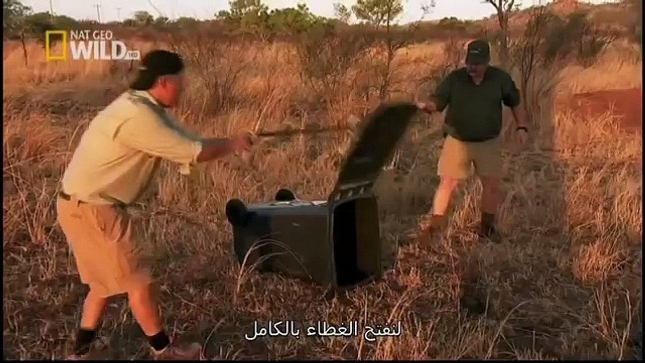 King Cobras documentary films HD4