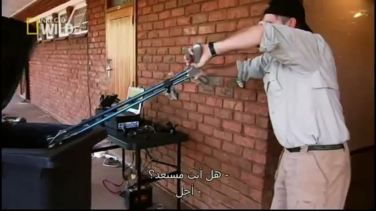 King Cobras documentary films HD6