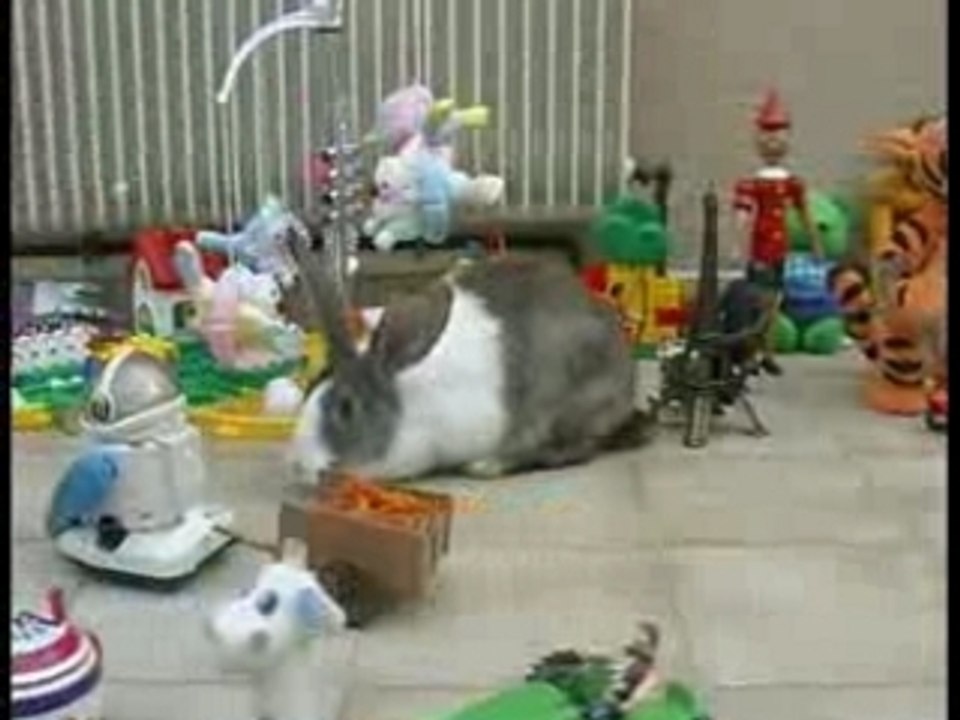 MICHELNET vilain lapin