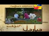 Diyar E Dil Episode 23 Promo HUM TV