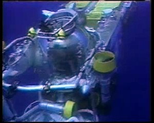 WUNDERBARE GESCHÖPFE II - DOKUMENTE ZUR TATSACHE DER SCHÖPFUNG