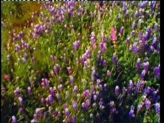 Только не забывайте, что…