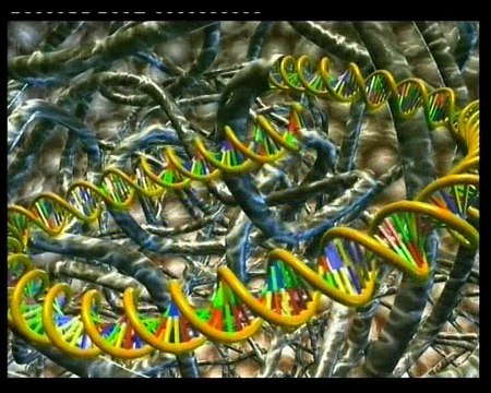 Золотое сечение - Божественная мера красоты