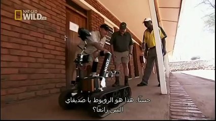 King Cobras documentary films HD31