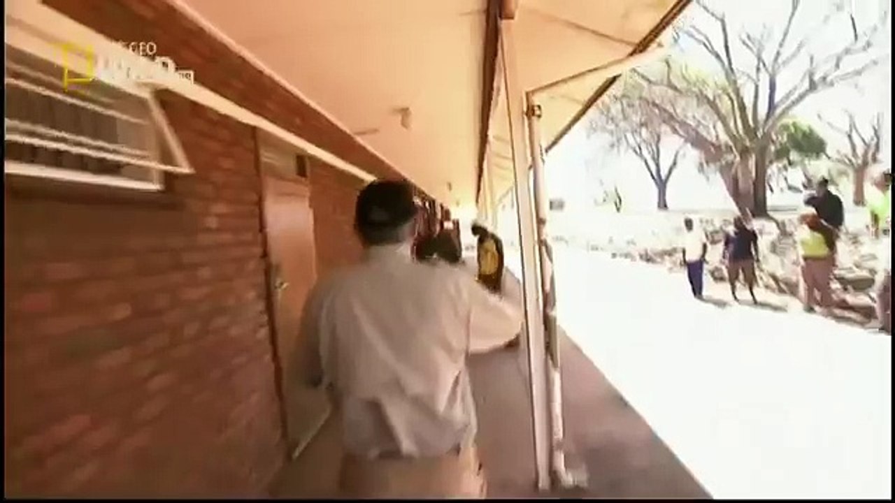 King Cobras documentary films HD34
