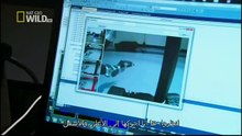 King Cobras documentary films HD37