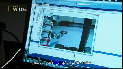 King Cobras documentary films HD37