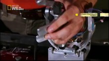 King Cobras documentary films HD39