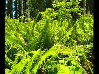 PËRGJIGJE NGA KURANI 2