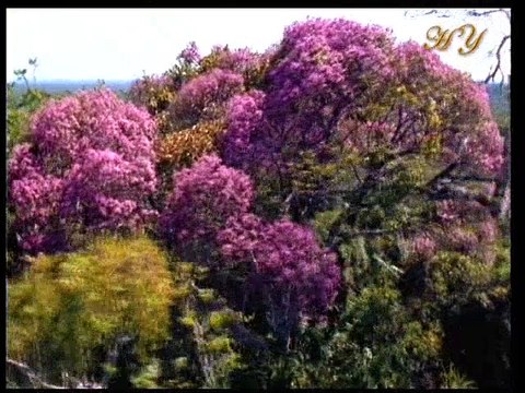 Kuran'da Peygamberimiz (sav)'in duaları