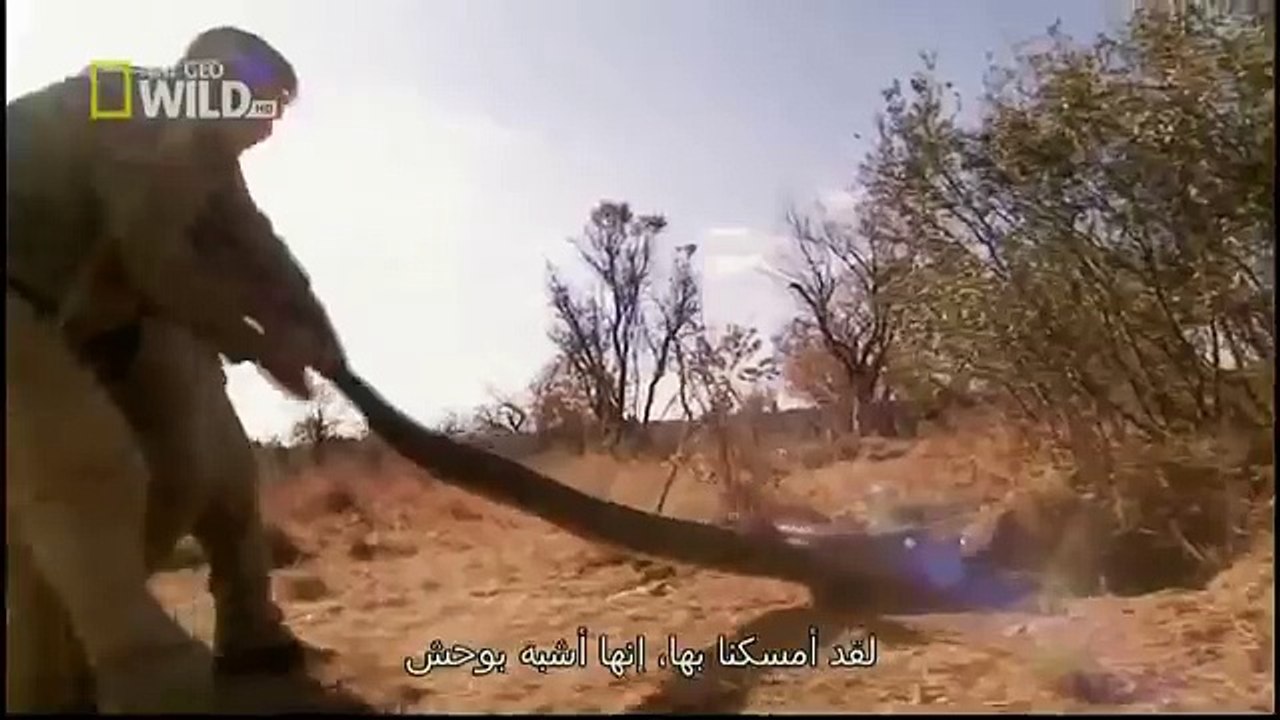King Cobras documentary films HD51