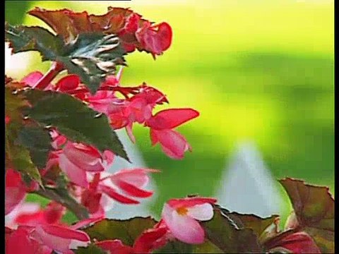 Hadislerde Peygamber Efendimiz ( sav )'in duaları