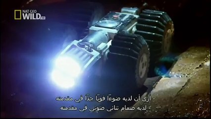 King Cobras documentary films HD81