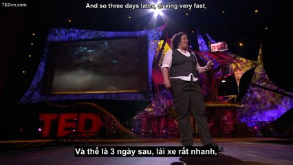 [TED Vietsub] Camille Seaman- Nhung buc anh tu nguoi theo chan bao