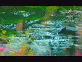 SOLUTION: THE VALUES OF THE QUR’AN - AMHARIC