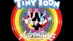WB ☺ Tiny Toon Adventures - Theme Song Instrumental  TINY TOONS Old Cartoons