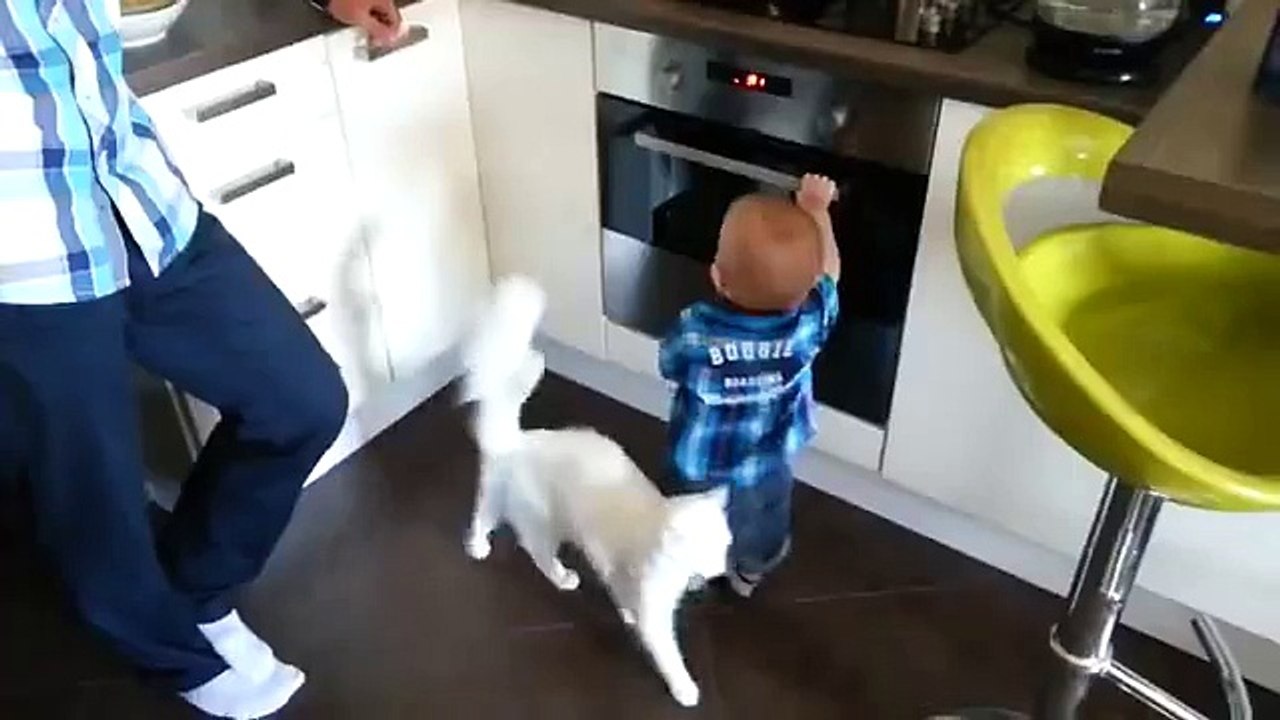 Ce bébé voulait mettre sa main au four... Ce que fera ce chat est salutaire !