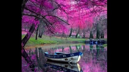 Lena Biolcati   IO DONNA ANCH'IO