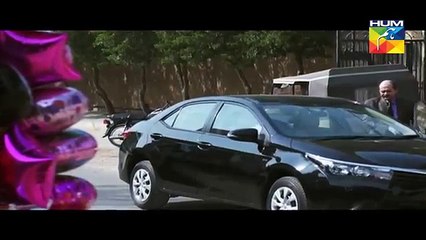 Zindagi Tujh Ko Jiya Episode 22 Full HUM TV Drama 29 March 2016 - Dailymotion