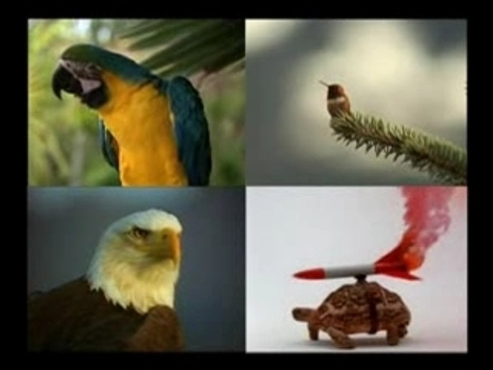 Weirdest mini-commercial ever