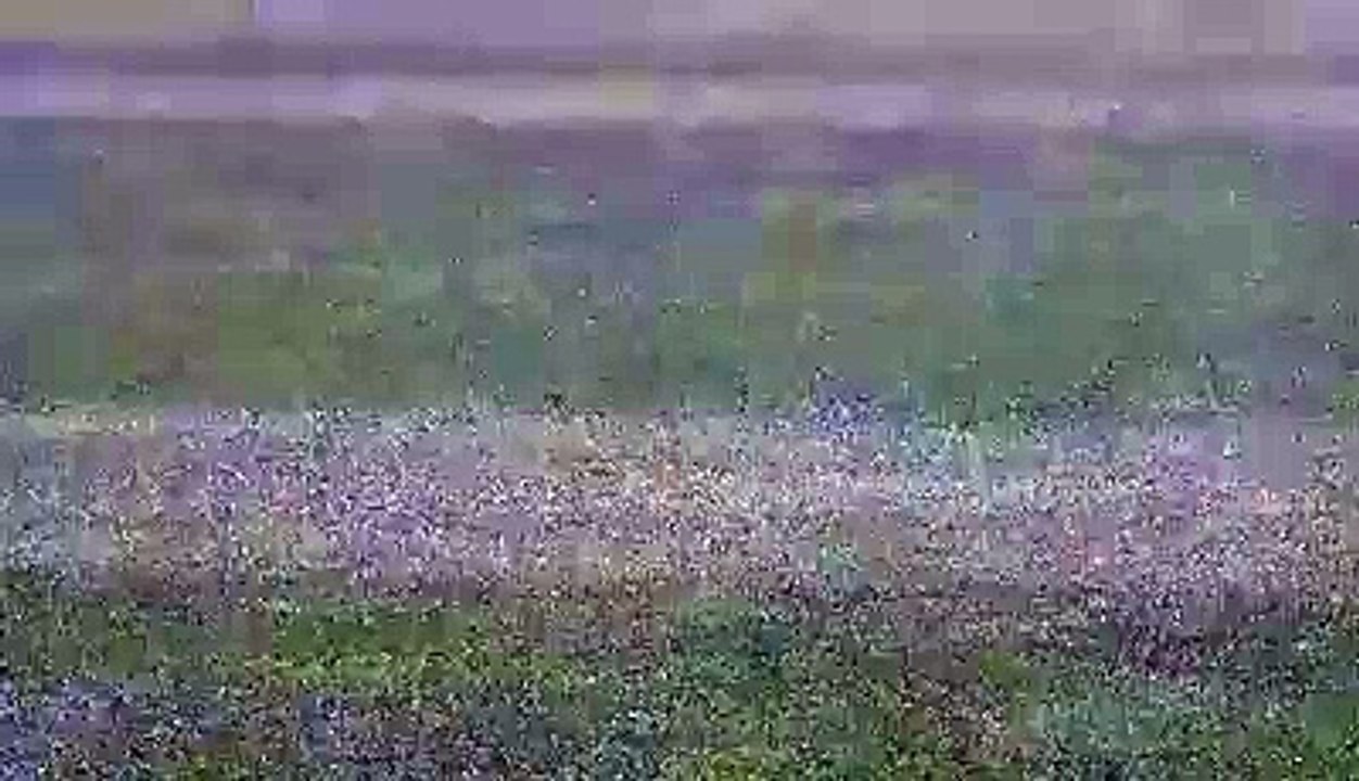 Pakistan Super League.....PSL Truck.......Green Team