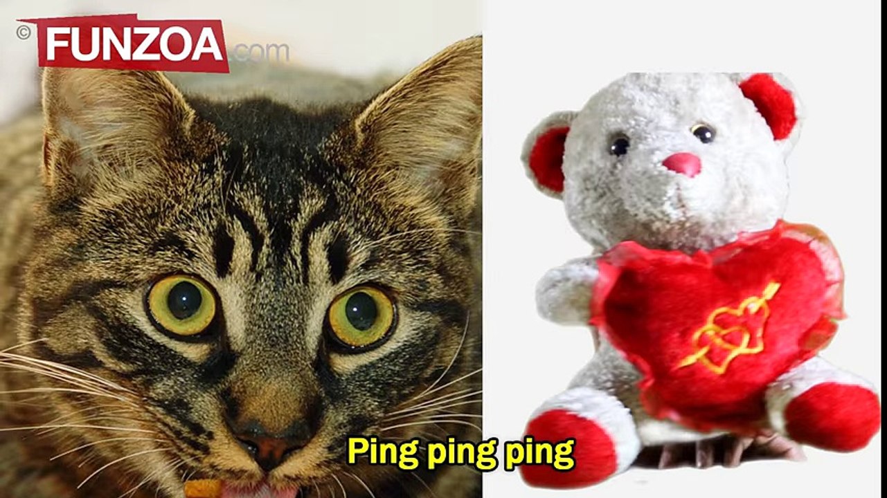 Bada Aaya Facebookia - Funny Facebook Song By Funzoa Mimi Teddy