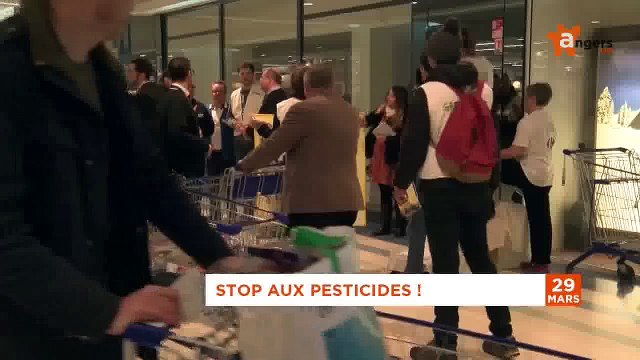 JT MARS 2016 [S.3] [E.29] - Le Journal du mardi 29 mars 2016