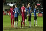 Aleksandar Kolarov  Goal - Estonia 0-1 Serbia 29.03.2016