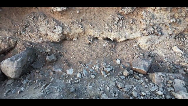 Photorealist landscapes of videogames